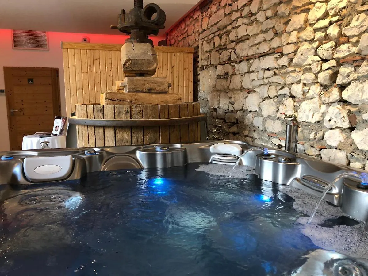 Les Villas Du Domaine De Suzel Vignieu 3*,